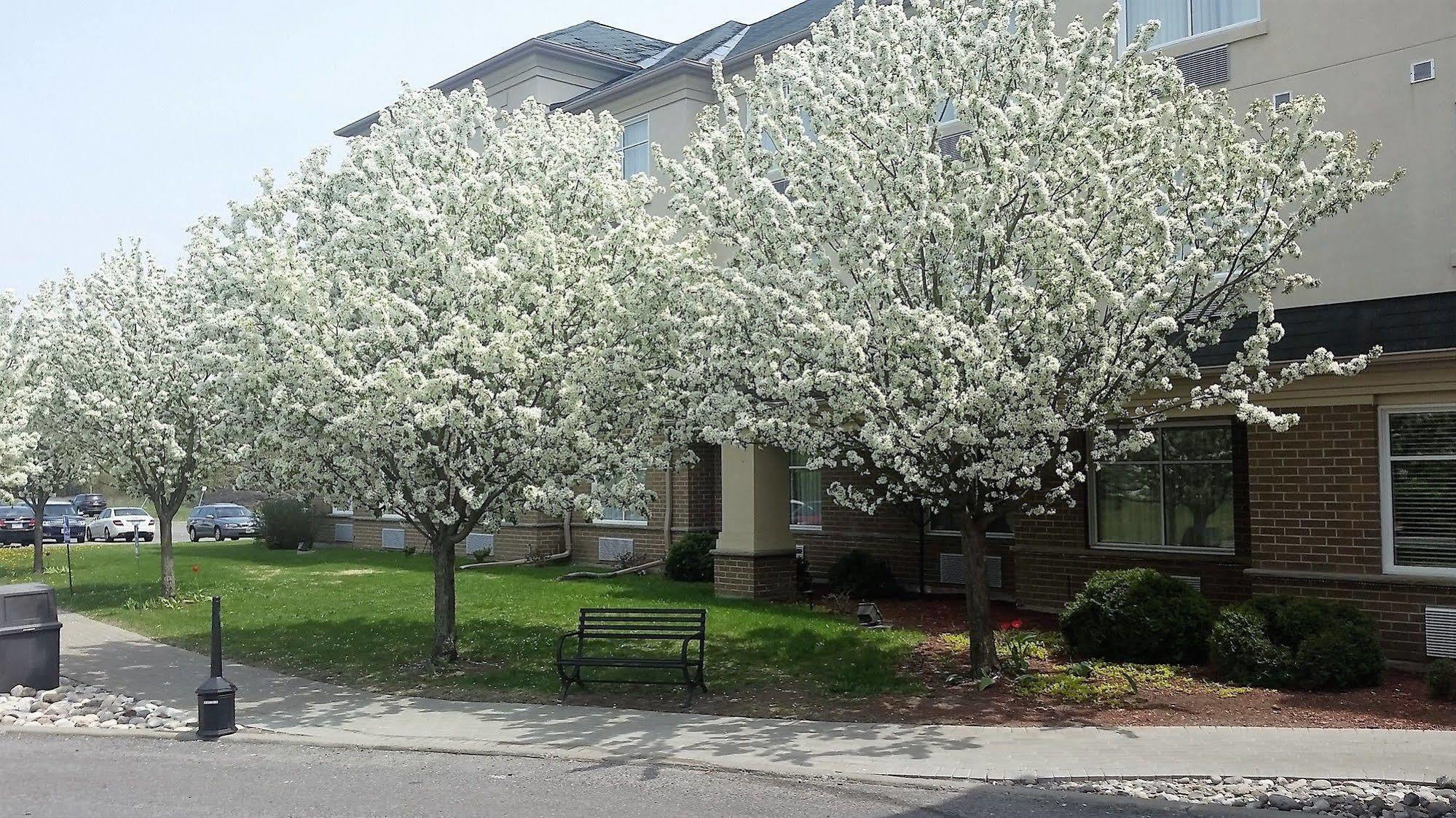 Days Inn By Wyndham Ottawa Airport Bagian luar foto